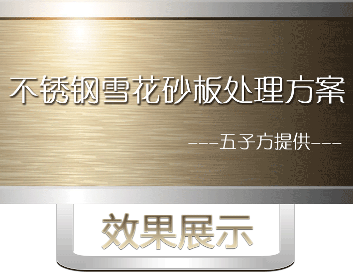不銹鋼雪花砂1.png